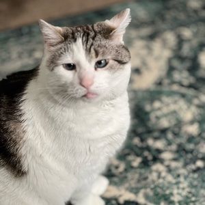 Meet your Posher, Smaa